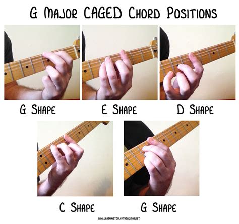 From Beginner to Pro: Mastering the Chords of 